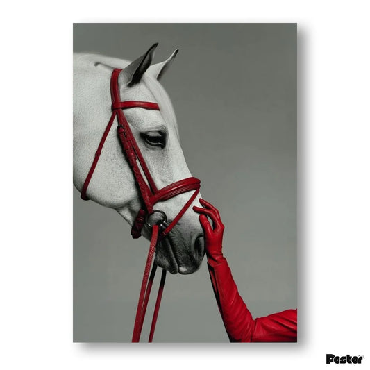 White horse with red bridle and a hand wearing a red glove on a gray background