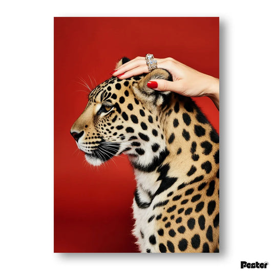 Hand petting a leopard's head against a red background