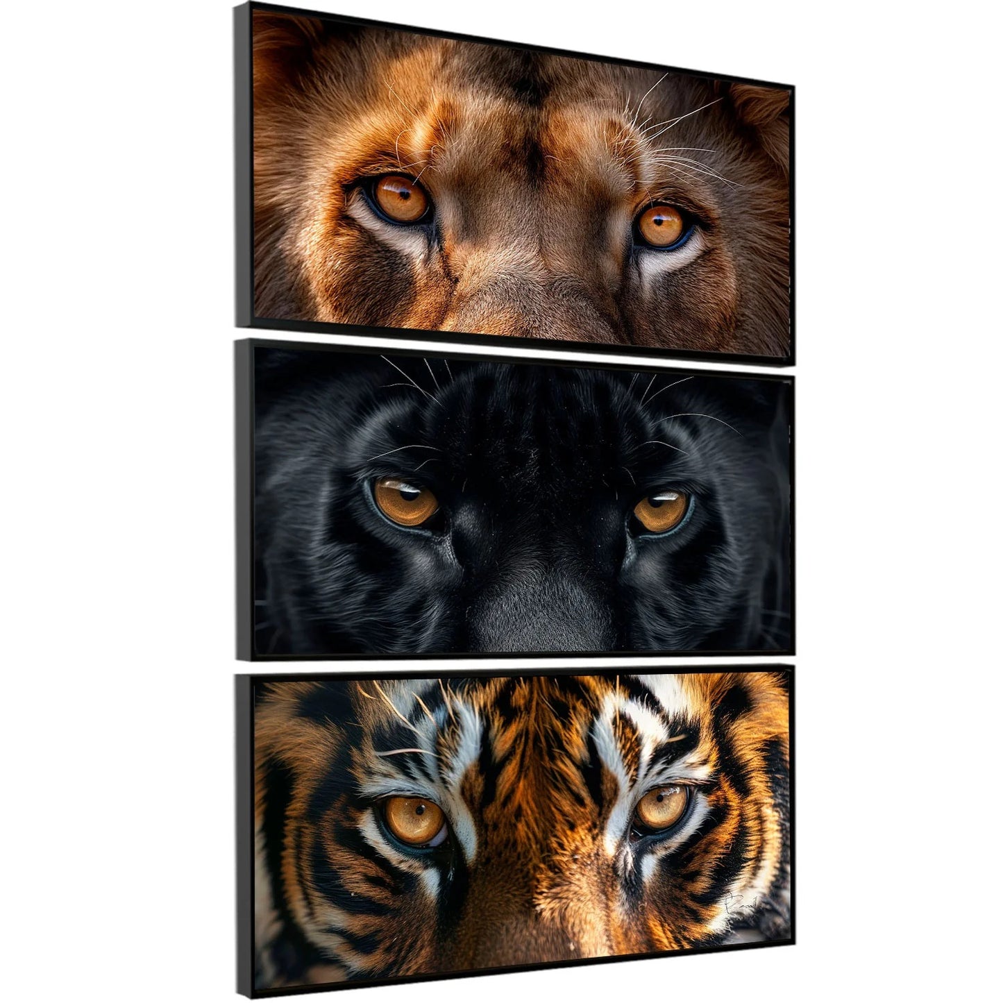 Big Lion, Black Panther and Tiger Eyes Framed Poster Set (3-Piece) - #P110